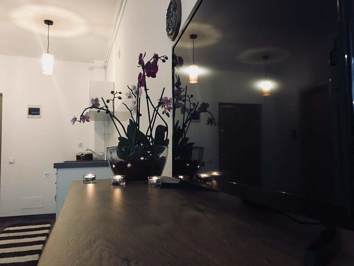 Cluj City Iris Appartment ภายนอก รูปภาพ