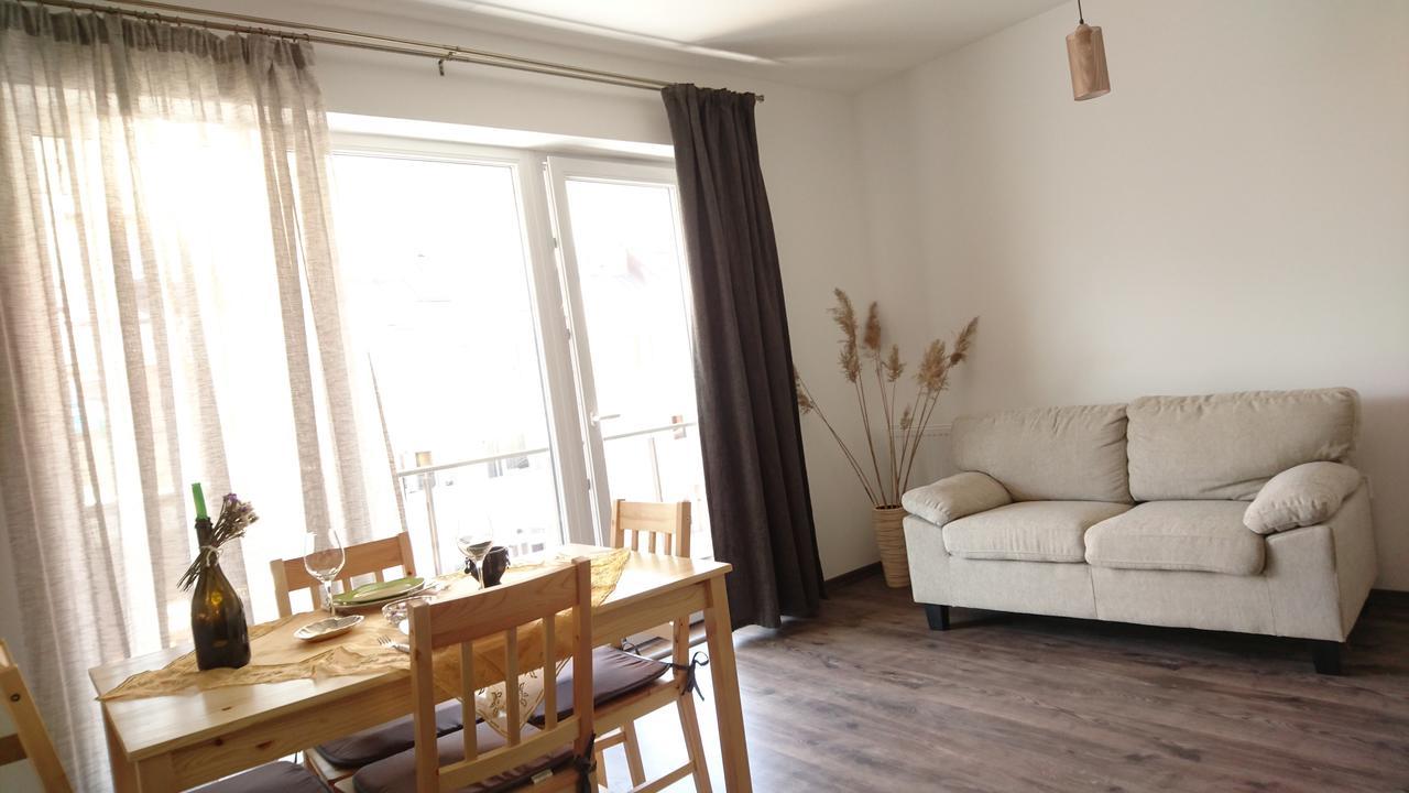 Cluj City Iris Appartment ภายนอก รูปภาพ