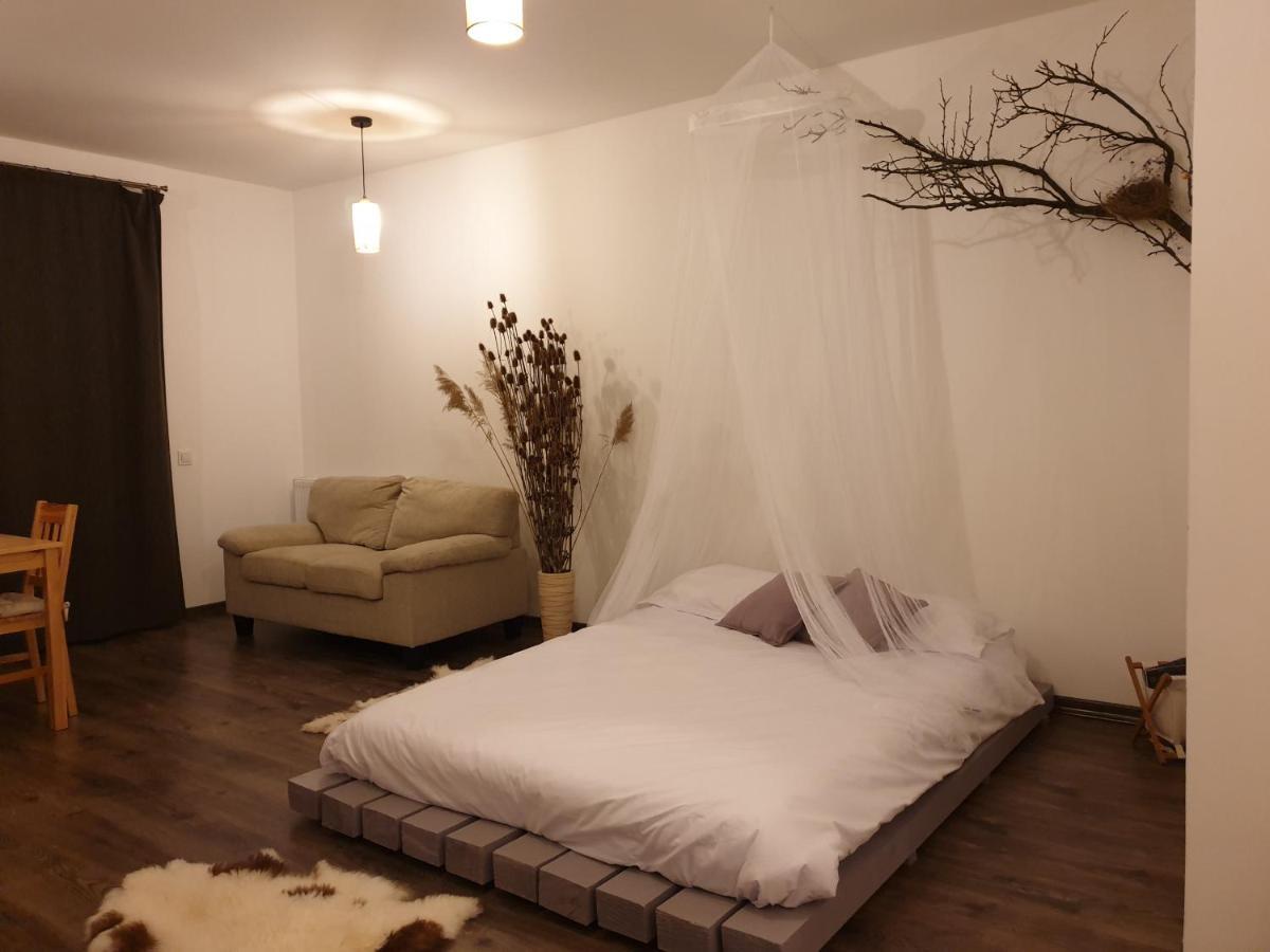 Cluj City Iris Appartment ภายนอก รูปภาพ