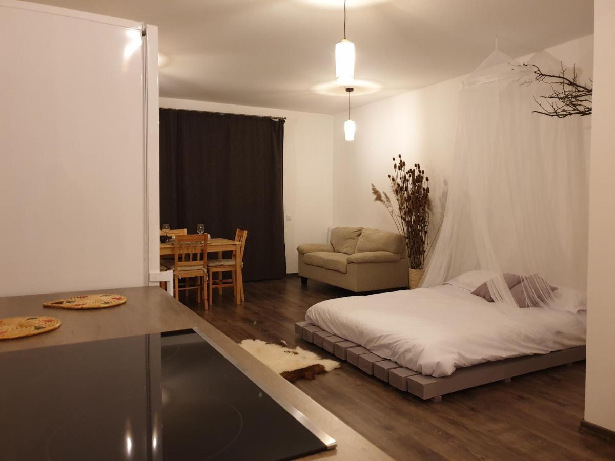 Cluj City Iris Appartment ภายนอก รูปภาพ