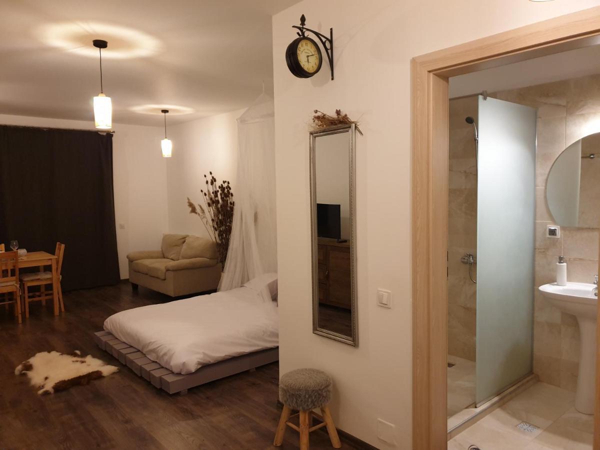 Cluj City Iris Appartment ภายนอก รูปภาพ